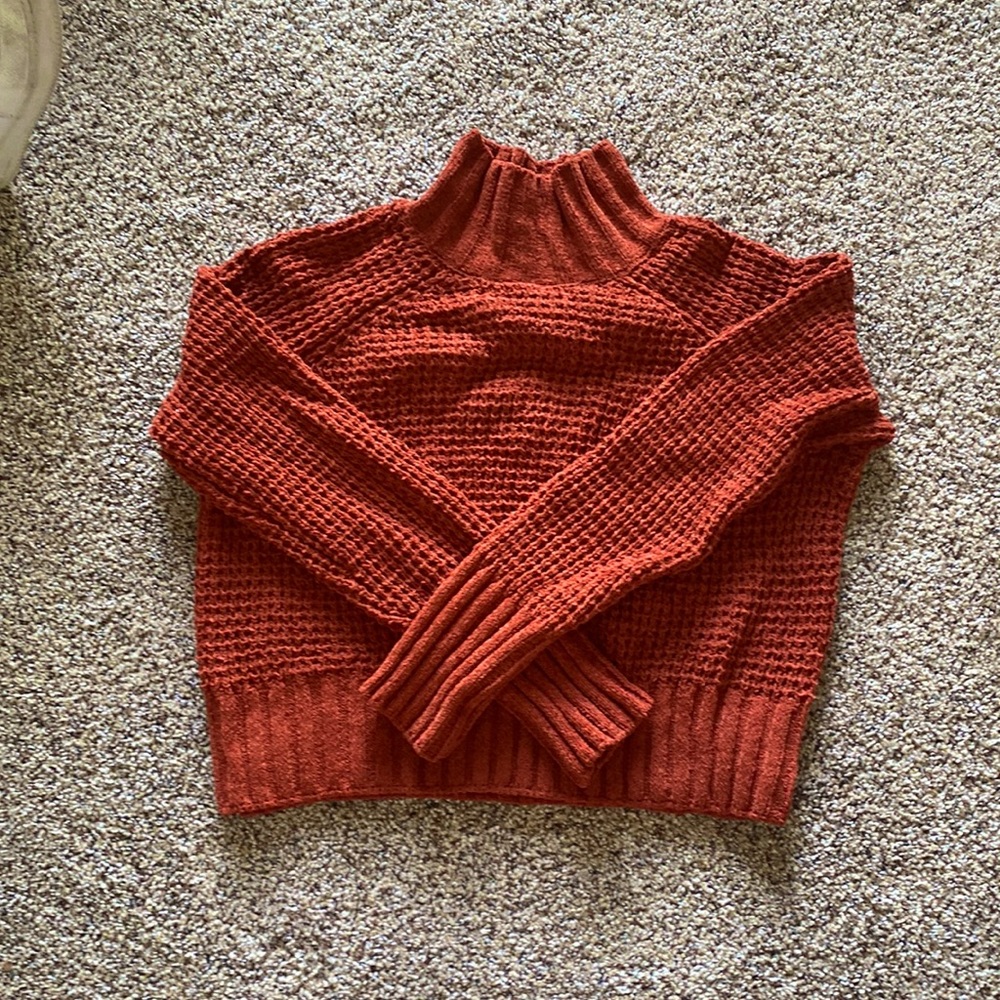 Hippy Rose, Burnt sienna turtle neck knit sweater